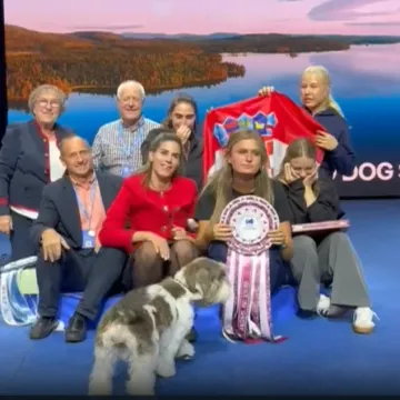 Upoznajte Meghan - najljepši pas na svijetu dolazi iz naše zemlje!