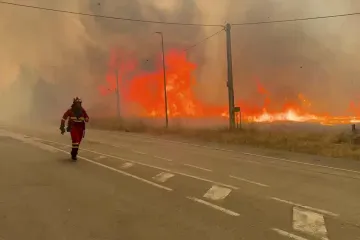 Pakao kod Madrida: U požaru poginula jedna osoba, evakuirano 180 ljudi