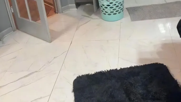 Nevjerojatno, ali ovdje se skriva psić: Mnogima je promaknuo, vidite li ga vi?