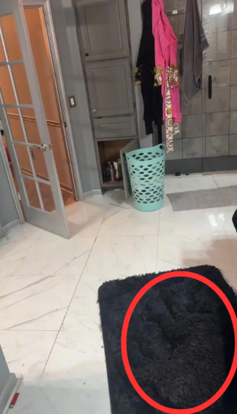 Nevjerojatno, ali ovdje se skriva psić: Mnogima je promaknuo, vidite li ga vi?