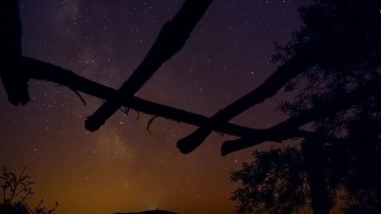 Suze svetog Lovre večeras se najbolje vide! Evo kad će roj na nebu biti najgušći