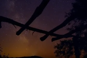 Suze svetog Lovre večeras se najbolje vide! Evo kad će roj na nebu biti najgušći