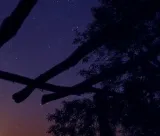 Astro-gastro večer u Slavoniji: Perzeidi, teleskop i slavonski specijaliteti