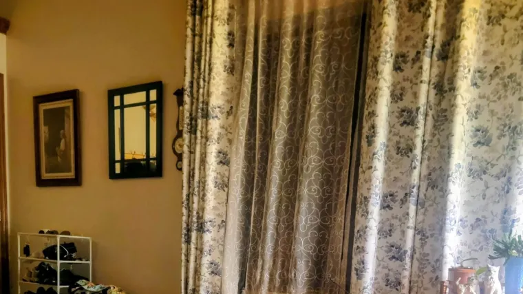 Ovaj zadatak zbunio je mnoge: Zbog jednog detalja nisu uspjeli pronaći mačku