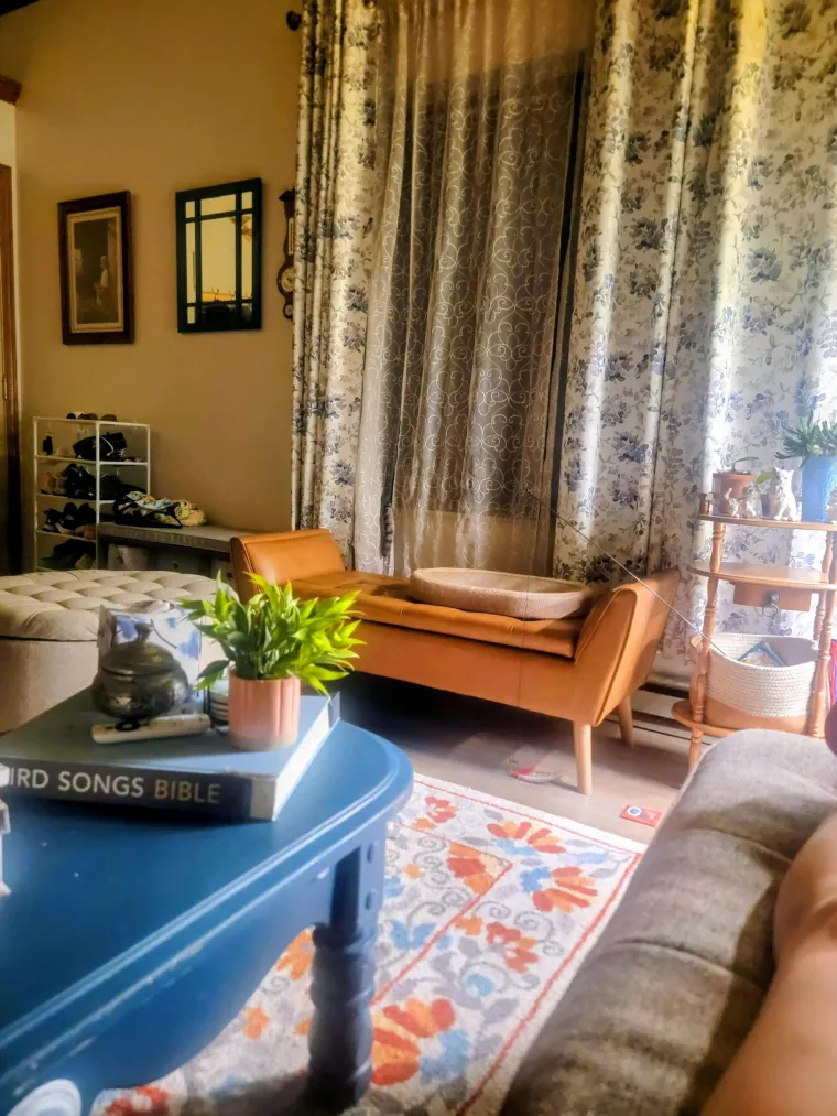 Ovaj zadatak zbunio je mnoge: Zbog jednog detalja nisu uspjeli pronaći mačku