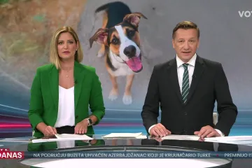 Europa kreće u zabranu neprirodnog križanja pasa