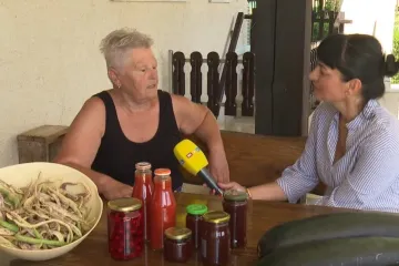 Šljiva ni za lijek, a treba ih biti dovoljno za pekmez i rakiju: 'Godina bi bila sasvim prosječna, ali...'