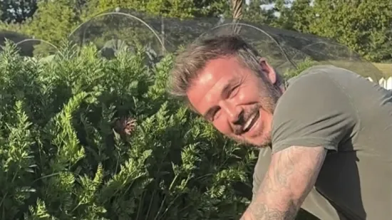 Luksuz do bola: Beckhamova vila sastoji se od saune, jezera i bazena te košta 18 milijuna eura