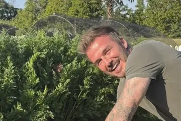 Luksuz do bola: Beckhamova vila sastoji se od saune, jezera i bazena te košta 18 milijuna eura