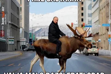 Hop-on Moose