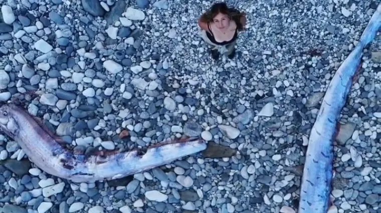 Ribe sudnjeg dana isplivale na obalu: Dan kasnije Rusiju je pogodio razoran potres