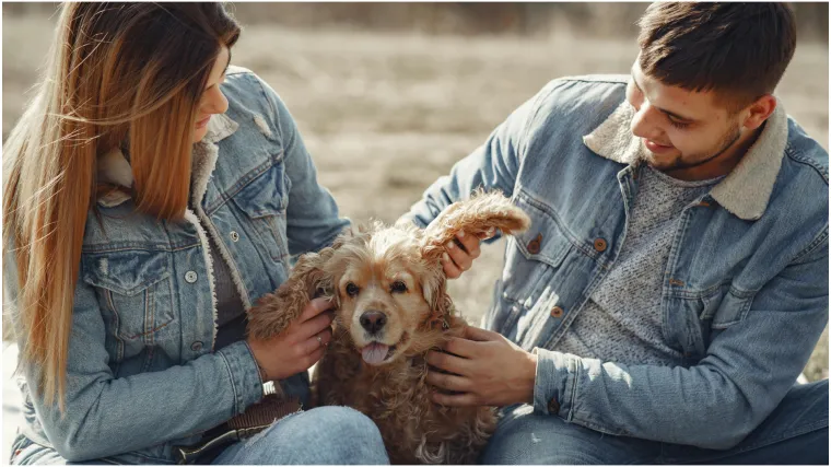 Veterinar otkrio pet pasmina koji su izvrsni ljubimci: 'Ove pse bih i ja rado imao'