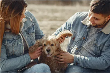 Veterinar otkrio pet pasmina koji su izvrsni ljubimci: 'Ove pse bih i ja rado imao'