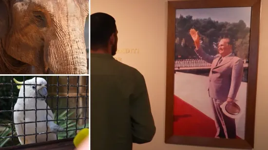 Slonica poklon Indire Gandhi, papiga Koki, Tito i Elizabeth Taylor: Brijuni puni priča i legendi!