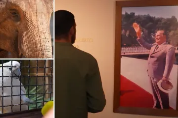 Slonica poklon Indire Gandhi, papiga Koki, Tito i Elizabeth Taylor: Brijuni puni priča i legendi!