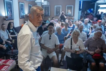 Zastupnica htjela unajmiti ubojicu? Spominje se i pas - megaskandal trese zemlju, priča je suluda!