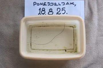 Iz slavine im izašao crv nalik konjskoj dlaci: 'Kakvu to vodu pijemo?!'