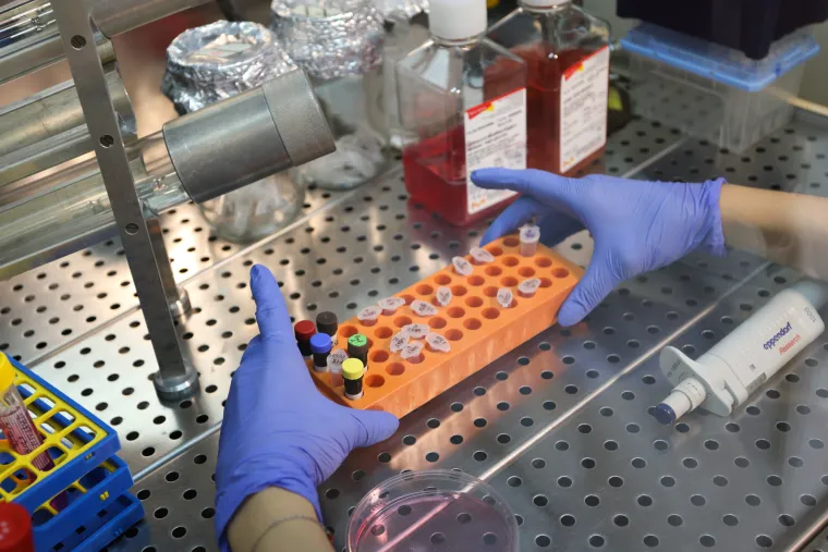 Dr. sc. Sonja Marinović upozorila Hrvate na smrtonosnu bolest: 'Pretilost može dovesti do raka'