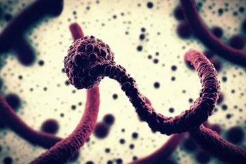 Divovski virus iznenadio dosad neviđenom karakteristikom: 'Slučajnost ili...?