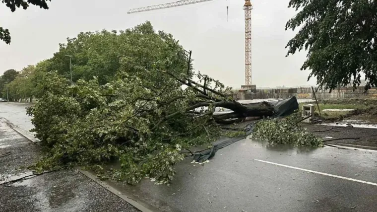 Nevrijeme poharalo istok Hrvatske: Podrumi pod vodom, stradao Gospodarski centar u Osijeku