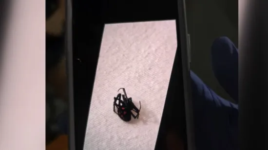 Kad pauk napadne: Ima li Hrvatska dovoljno protuotrova?