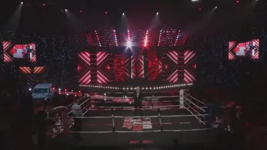 Evo kad i gdje možete gledati jedinstveni borilački spektakl