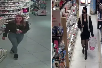 Misteriozne dame uhvatile kamere, policija ih traži...