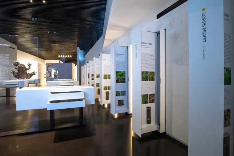 Savršeni odmor u srcu prirode – upoznajte destinaciju Vrata Papuka