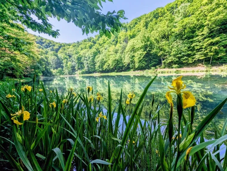 Savršeni odmor u srcu prirode – upoznajte destinaciju Vrata Papuka