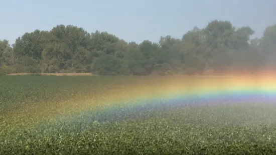 Unatoč suši, njihova su polja zelena: Ovo je tajna slavonske županije