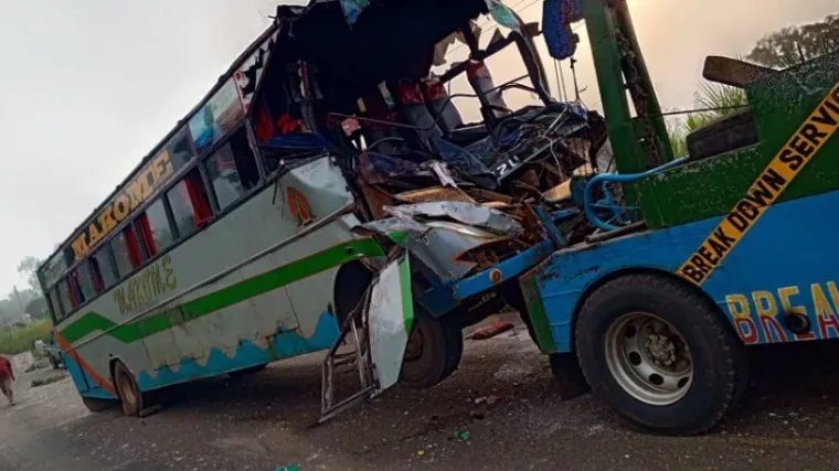 Brutalan sudar autobusa i slona! Ima mrtvih i ozlijeđenih: Pogledajte što je ostalo od vozila