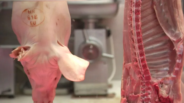 Mesnice mirne, cijene odojka dvije godine iste: Ipak, svinjogojci tonu u gubitke