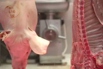 Mesnice mirne, cijene odojka dvije godine iste: Ipak, svinjogojci tonu u gubitke