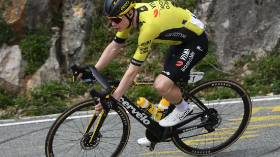 Skandal u biciklističkom svijetu dobio rasplet: Dio ukradenih bicikala pronađen u grmlju