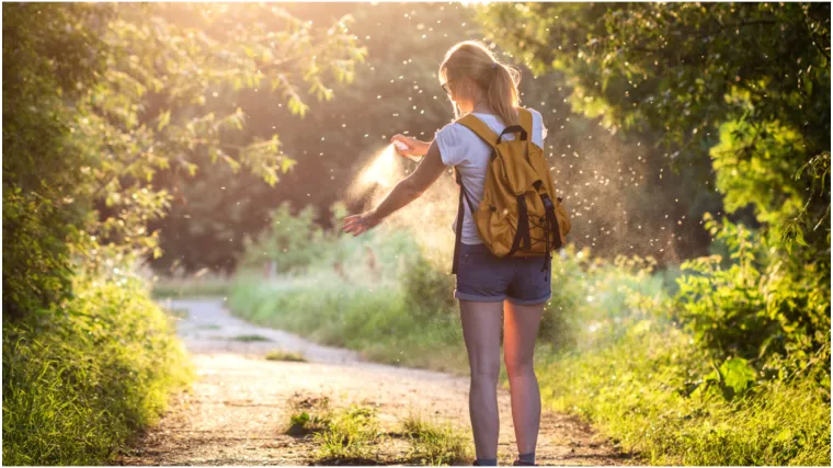 Prirodni štit od komaraca: Vodič za izradu učinkovitih repelenata za cijelu obitelj