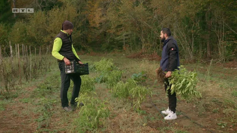 Povratnici prelomili: Ovo su parovi koji će se boriti za superfinale 'Farme'