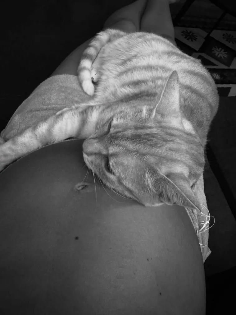 Najposebniji rođendan lijepe trudnice: Evo kako joj je izgledala torta i što je obukla