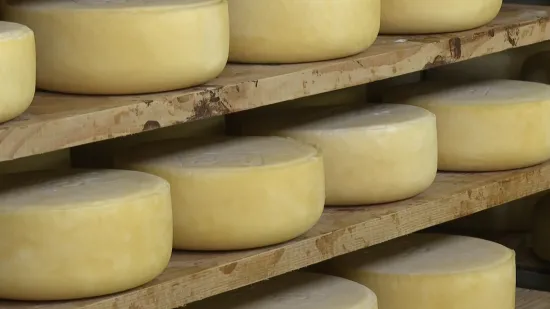 Najveće potpore za poljoprivredne i prehrambene proizvode dobit će proizvođači paškog sira