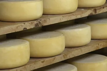 Najveće potpore za poljoprivredne i prehrambene proizvode dobit će proizvođači paškog sira