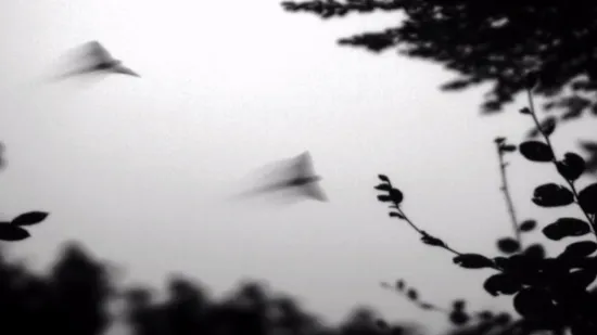 Pazite da vam u stan ne ulete nepozvani gosti koji su na lošem glasu: Donosimo nesvakidašnje noćne snimke