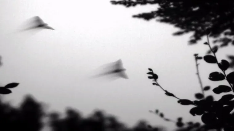 Pazite da vam u stan ne ulete nepozvani gosti koji su na lošem glasu: Donosimo nesvakidašnje noćne snimke