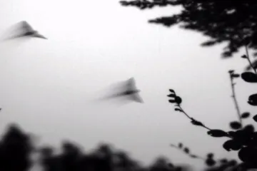 Pazite da vam u stan ne ulete nepozvani gosti koji su na lošem glasu: Donosimo nesvakidašnje noćne snimke