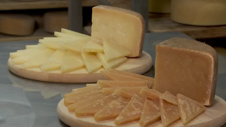 Država daje potpore zaštićenim domaćim proizvodima: Paški sir je u fokusu programa