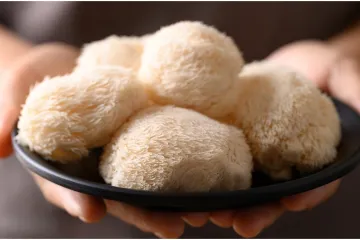 Jača mozak, živce, imunitet... Ova neobična gljiva ima moćna svojstva, a evo zašto