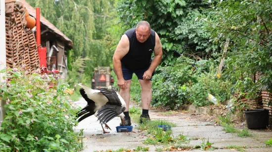 Malu rodu odbacili braća i mama, našao je Ibra: 'Sad pojede kilu papalina na dan!'