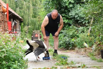 Malu rodu odbacili braća i mama, našao je Ibra: 'Sad pojede kilu papalina na dan!'