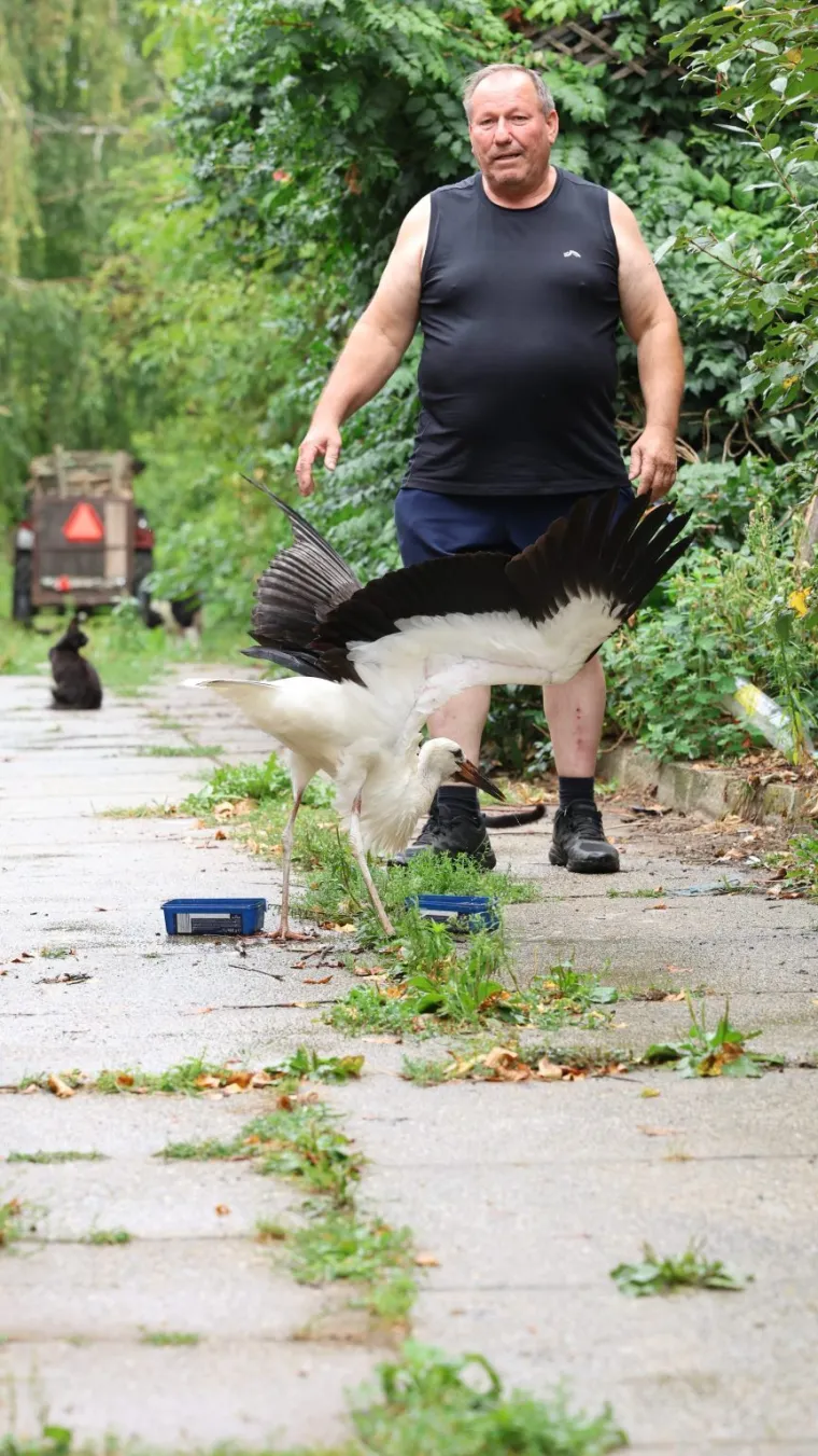 Malu rodu odbacili braća i mama, našao je Ibra: 'Sad pojede kilu papalina na dan!'