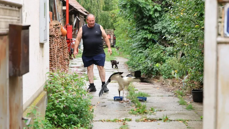 Malu rodu odbacili braća i mama, našao je Ibra: 'Sad pojede kilu papalina na dan!'