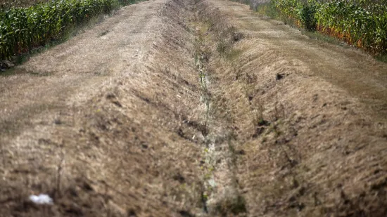Suša pogodila hrvatsku županiju: Prirodna nepogoda proglašena za šest gradova i većinu općina