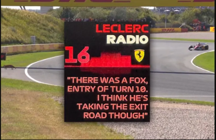Neobična scena u kvalifikacijama: Leclerc umalo udario lisicu na stazi
